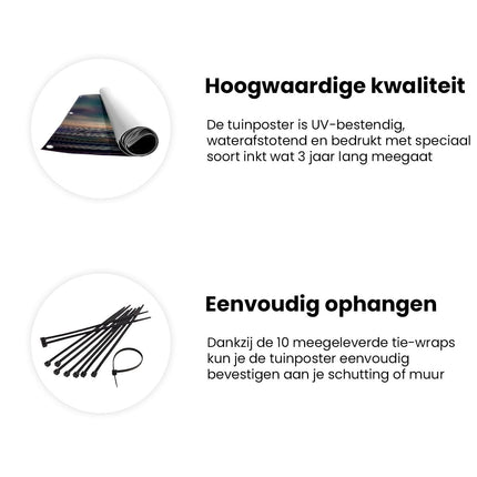 Tuinposter informatie Kunstwerk van een Walvis in de Oceaan