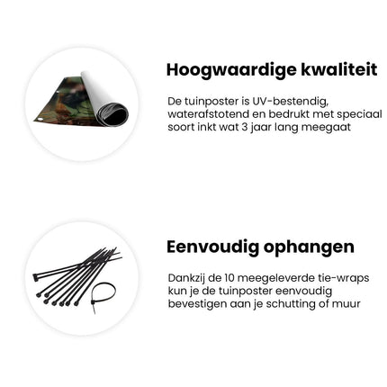 Tuinposter informatie Vrouw in een Zwarte Jurk Liggend op een Groene Bank