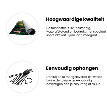 Tuinposter informatie Kleurrijke Waterlelies in een Vijver