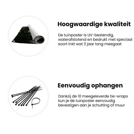 Tuinposter informatie Twee Zwanen in een Vijver