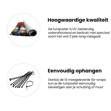 Tuinposter informatie Kleurrijke Bomen in een Veld