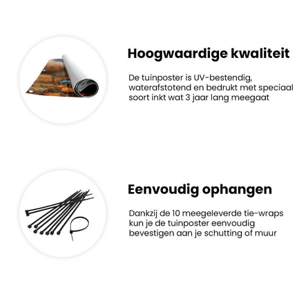 Tuinposter informatie Oude Vrachtwagen met Pompoenen voor een Schuur