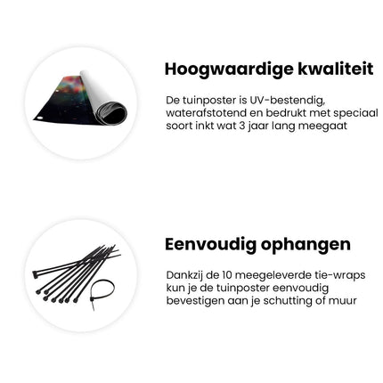 Tuinposter informatie T - Rex Blaast Kleurrijke Confetti