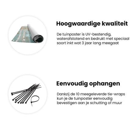 Tuinposter informatie Kunstwerk van Berkenbomen