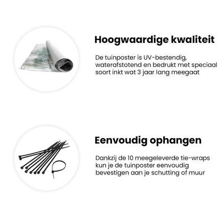 Tuinposter informatie Aquarelkunstwerk van Bomen