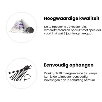 Tuinposter informatie Kolibrie met Paarse Verfspatten
