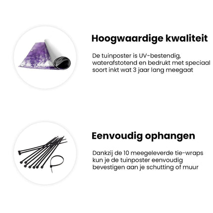Tuinposter informatie Paars Treurwilg Kunstwerk