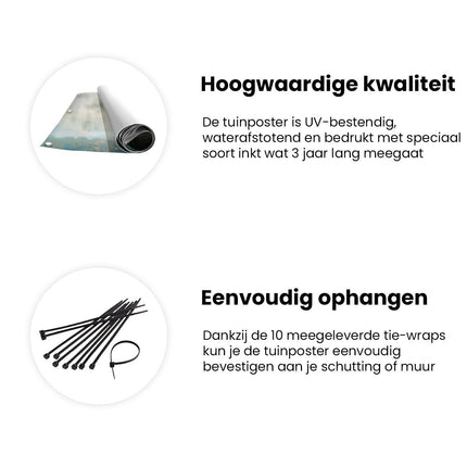 Tuinposter informatie Kunstwerk van Berkenbomen in een Bos