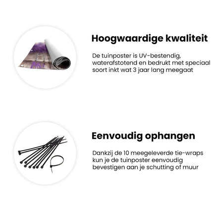 Tuinposter informatie Paarse Bomen op een Witte Achtergrond