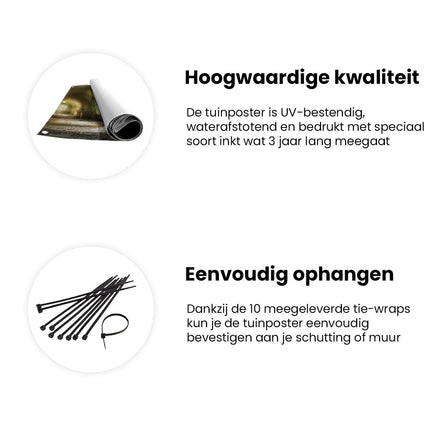 Tuinposter informatie Verlaten Kamer met Ramen
