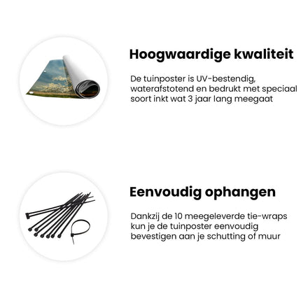Tuinposter informatie Witte Boom in een Veld
