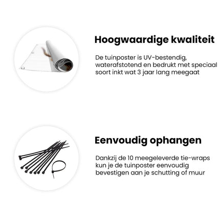 Tuinposter informatie Schotse Hooglandkoe met Hoorns