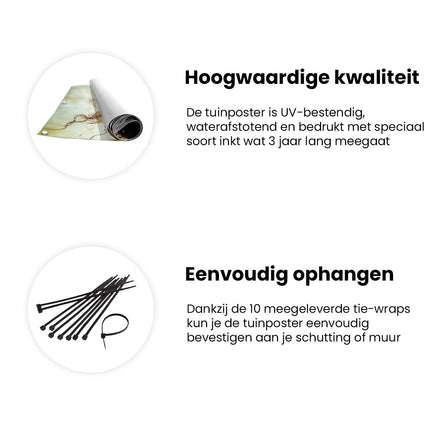 Tuinposter informatie Vrouwenhoofd met een Boom op de Achtergrond