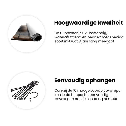 Tuinposter informatie Kunstwerk van Bomen in de Mist