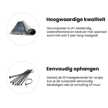 Tuinposter informatie Twee Elanden Staan ​​In de Sneeuw