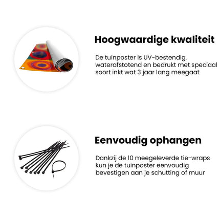 Tuinposter informatie Kleurrijke Cirkels op een Vierkant Canvas