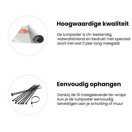 Tuinposter informatie Kleurrijke Ontbijtgranen in een Kom Melk