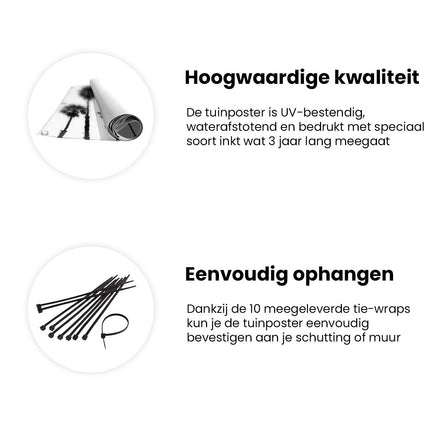 Tuinposter informatie Zwart Wit Beeld van Palmbomen