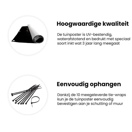 Tuinposter informatie Schotse Hooglandkoe op een Zwarte Achtergrond