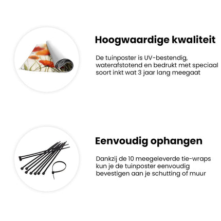 Tuinposter informatie Kunstwerk van Rode en Witte Klaprozen