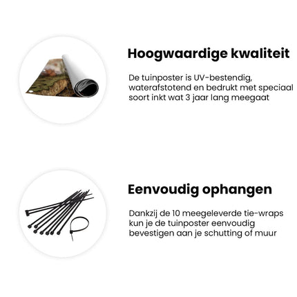 Tuinposter informatie Meisje en een Vogel op een Klif