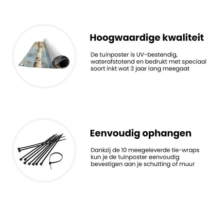 Tuinposter informatie Kunstwerk van Berkenbomen op een Blauwe Achtergrond