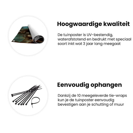 Tuinposter informatie Meisje met een Rode Jurk en Witte Duiven