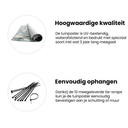 Tuinposter informatie Wit Katoen in een Veld