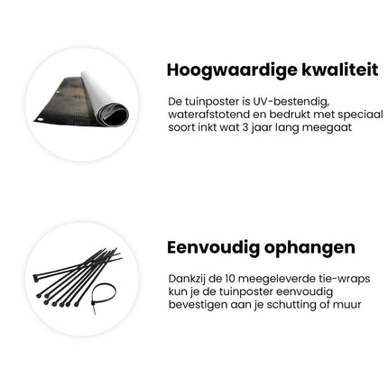 Tuinposter informatie Hoofd van de Vrouw Achter Prikkeldraad