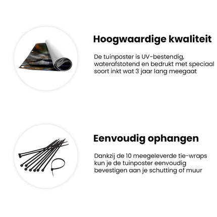 Tuinposter informatie Stroom Omringd door Bomen en Rotsen
