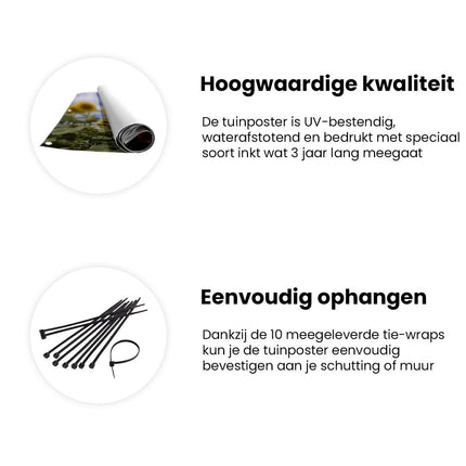 Tuinposter informatie Zonnebloemen op de Voorgrond