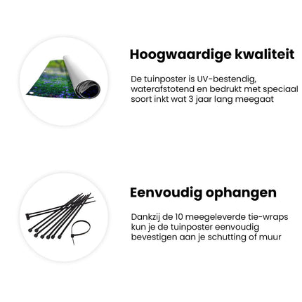 Tuinposter informatie Boshyacint in Bloei